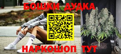 jwh Новозыбков