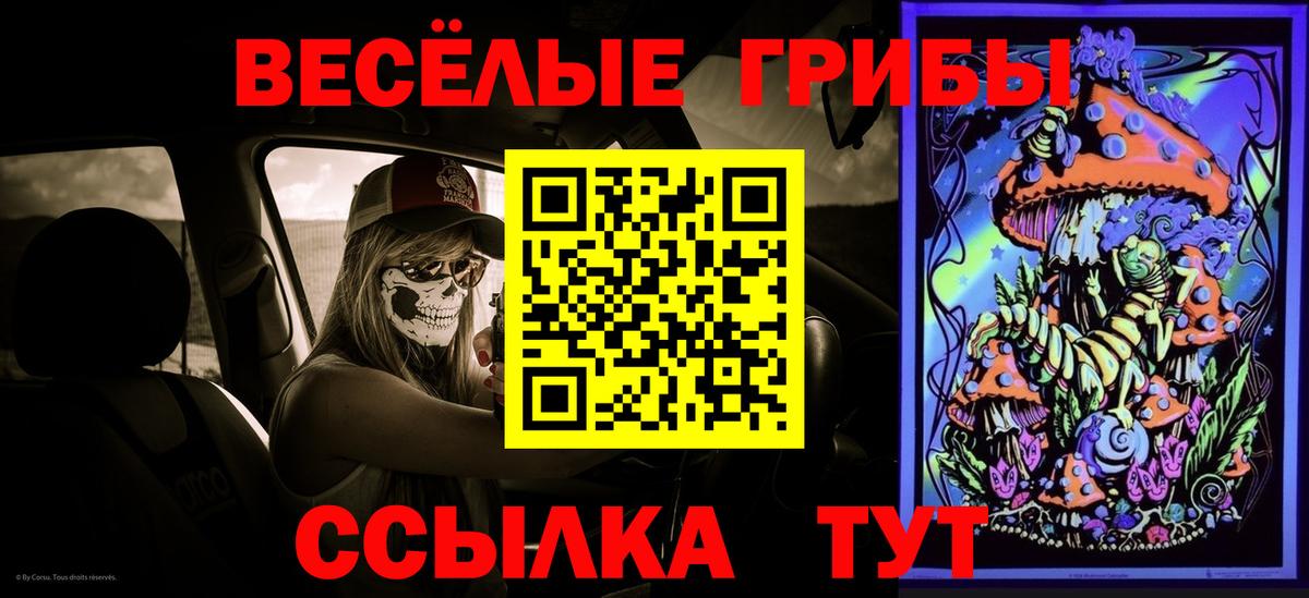 Мыски  Галлюциногенные грибы ЛСД  Вход с VPN  где купить   Галлюциногенные грибы прущие грибы 