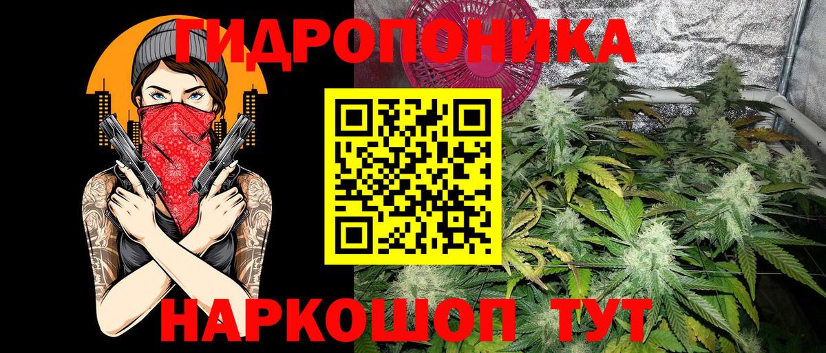 Каннабис Amnesia Мыски